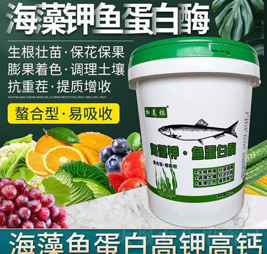 ������~����ø-������