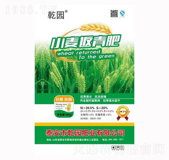 С�������-Ǭ�@