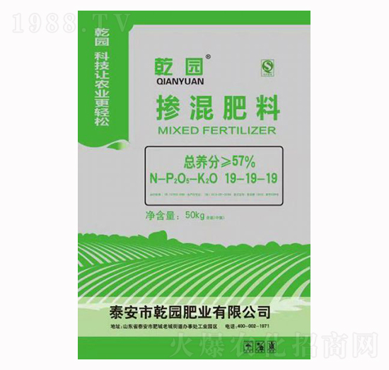 �������19-19-19-Ǭ�@