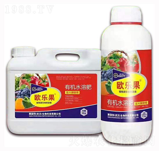 С���������ÚW��(l��)��-ِ����