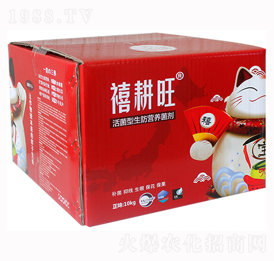 ����������I�B(y��ng)����-������-���r(n��ng)�A��