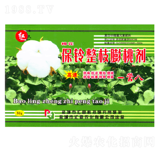 �����֦���҄�-�R���r��