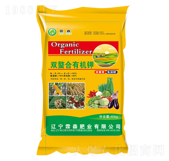 �p�����ЙC�-��ɭ