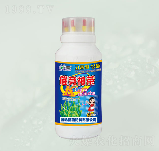 ��ѿ����~���-���@����