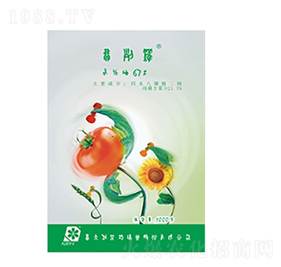 ��⛷�-��(y��u)��˼