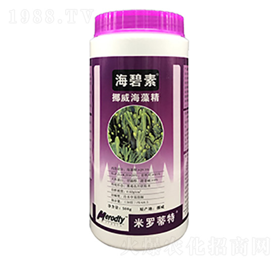 Ų�����徫-������-��(y��u)��˼