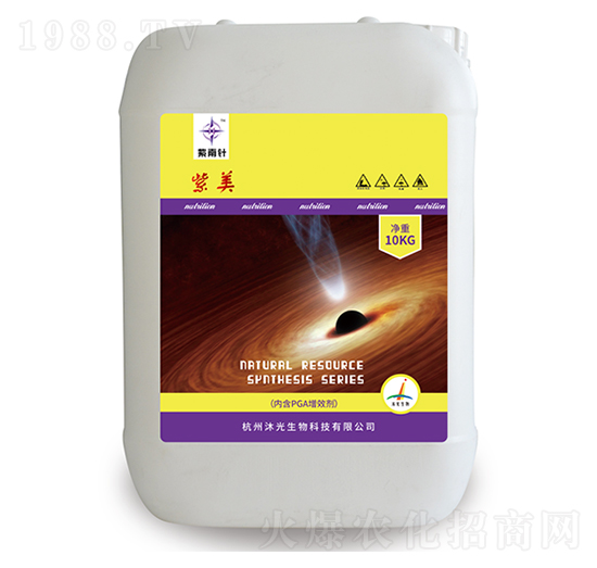 ����-����-�������