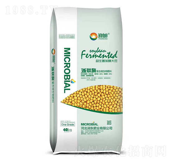 �������l(f��)�ʹ�-����ø-���|�ʘI(y��)