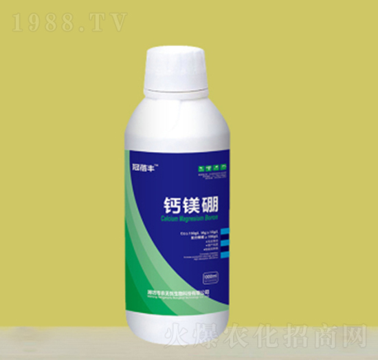 �}�V��-�����S-�r(n��ng)�o�n