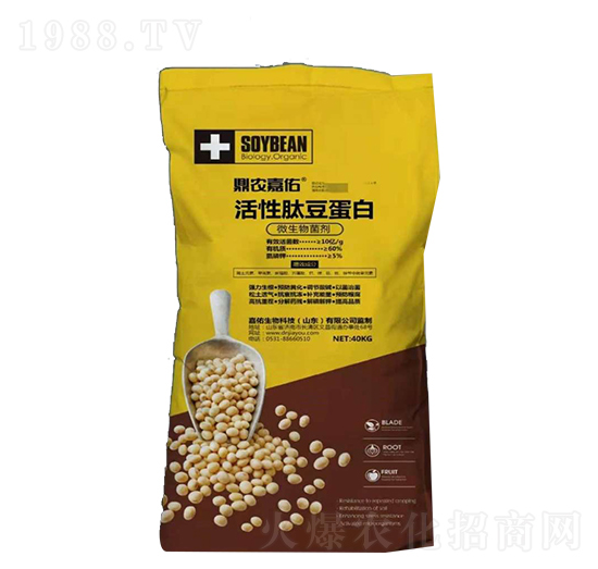 �����Ķ�����-���r(n��ng)����-��������