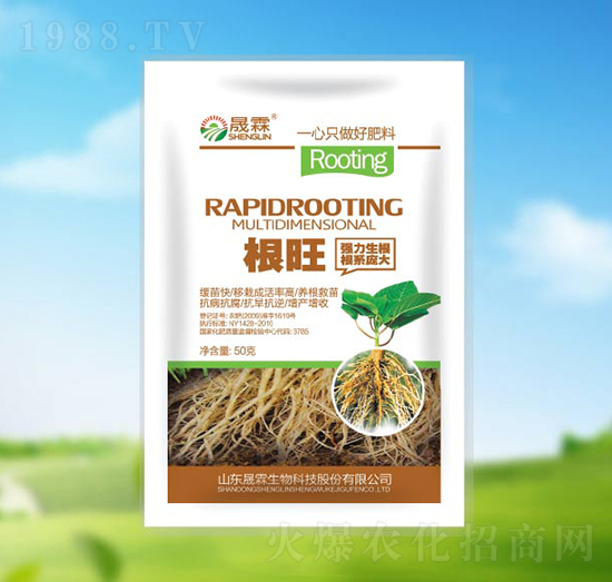 ����-��������