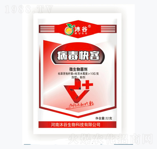 ΢�������-�������-�������