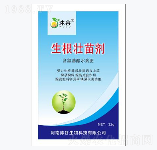 �������焩-�������