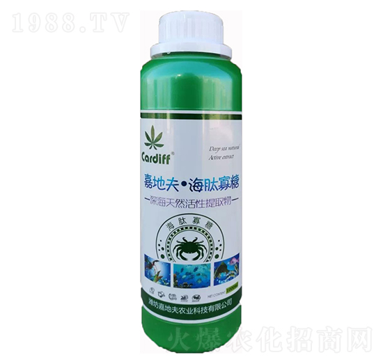 ���Ĺ���-�εط�