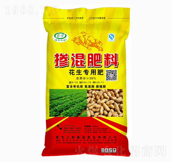 �������Ó������12-12-11-���S���-������