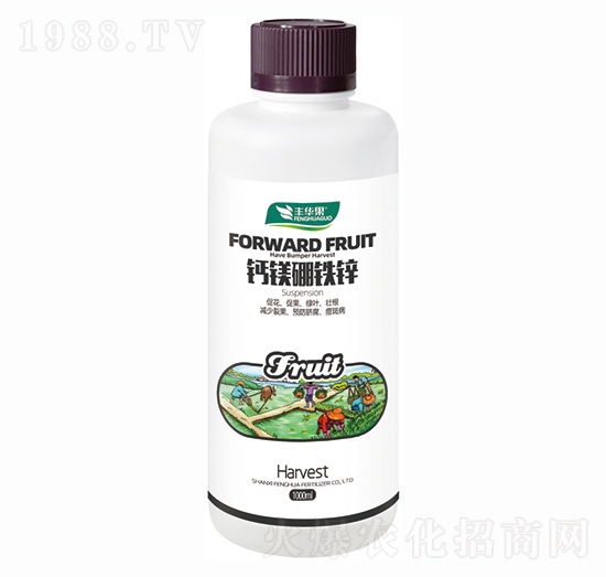 �}�V���F�\-�S�A��-�S�A�ʘI(y��)