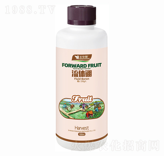 ���w��-�S�A��-�S�A�ʘI(y��)