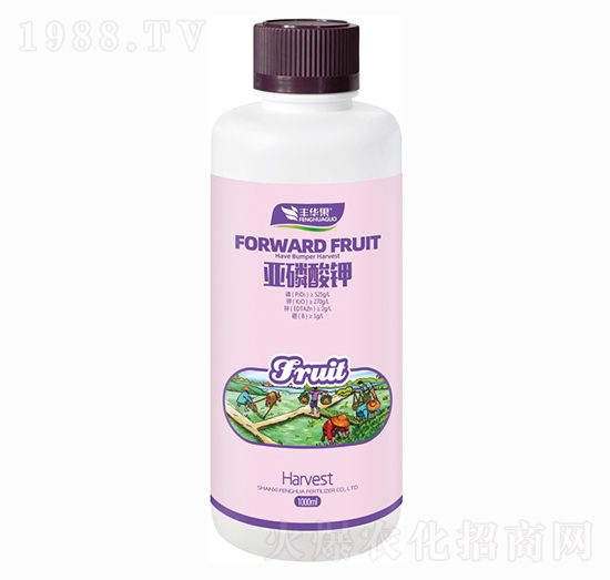 �������-�S�A��-�S�A�ʘI(y��)