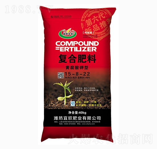 �S������͏ͺϷ���15-8-22-�����S�r