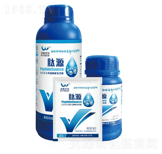 ��Դ-����ؐ��-���r(n��ng)�|��