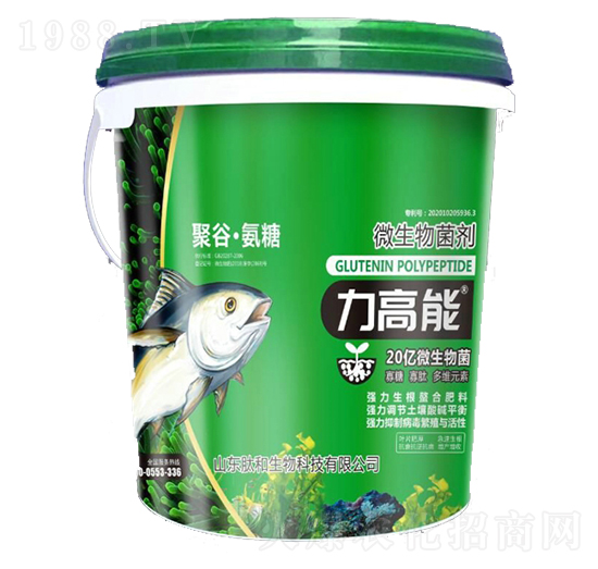 ΢�������-������-�ĺ�����