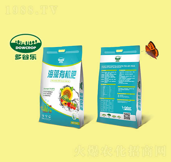 �����ЙC��-��Ș�