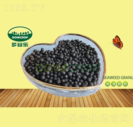 �����ЙC(j��)���w��-��Ș�