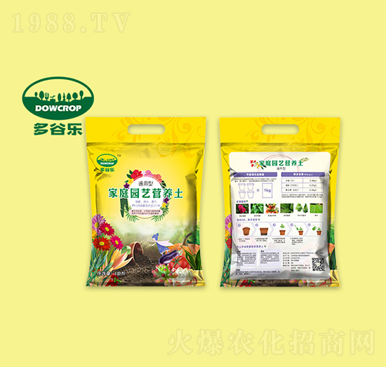 ��ͥ�@ˇ�I�B(y��ng)��-��Ș�