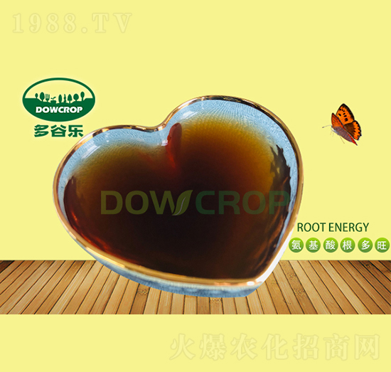 ���İ����������-��Ș�