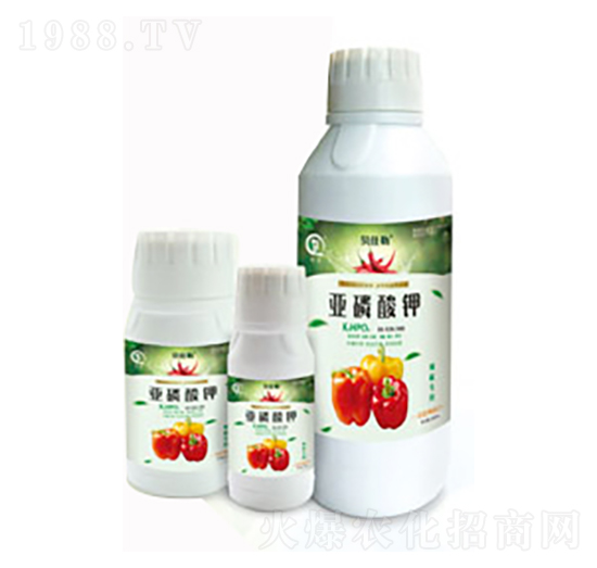 ������(zhu��n)�Á������-���л���
