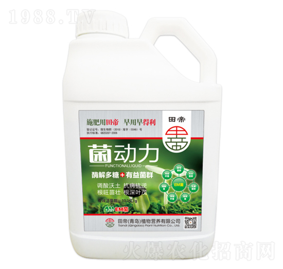 ����(d��ng)��-���