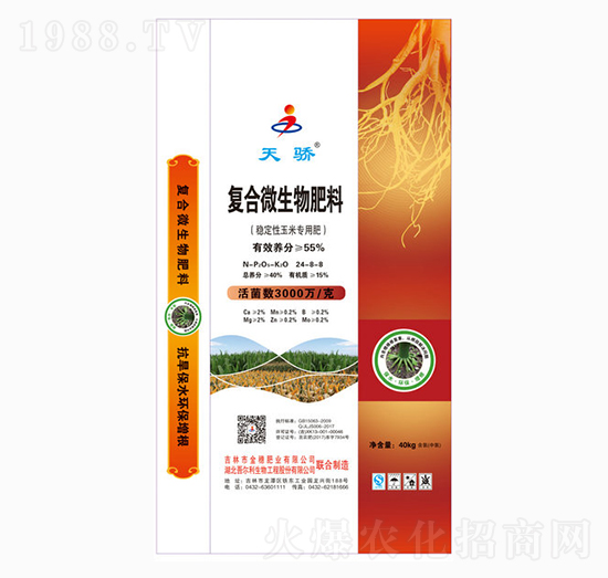 �ͺ�΢�������-���-����ʘI(y��)