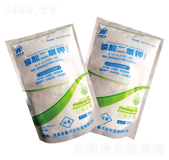 ��������0-52-34-�Aԥ����