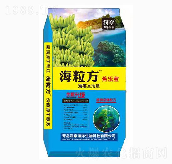 ����������ȫ�ܷ�-������-���º���