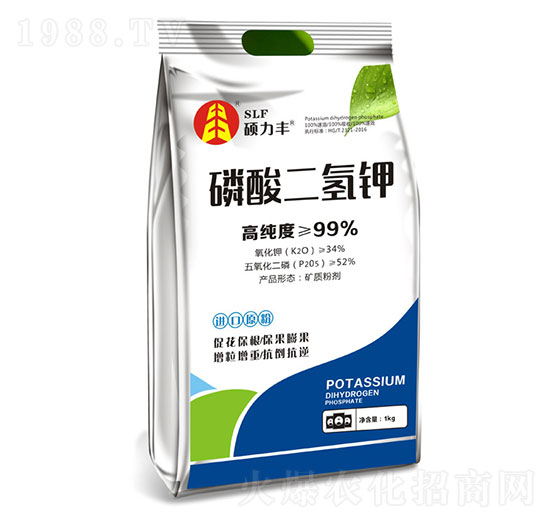 �������⛷�-�T���S����