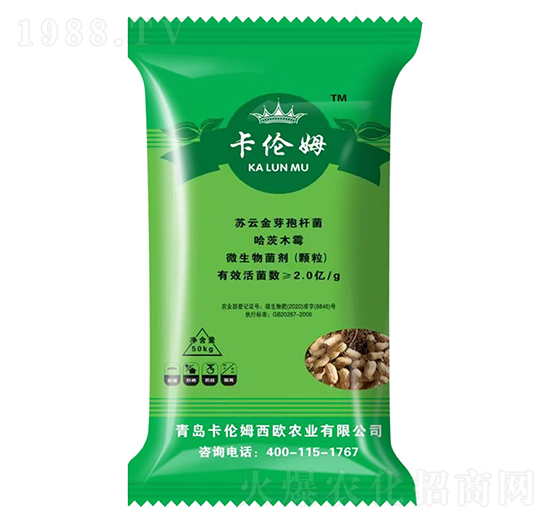 �������طN��-����ķ-���ݳ���