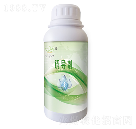 500g�T����-���A٢-�h���r(n��ng)�I(y��)