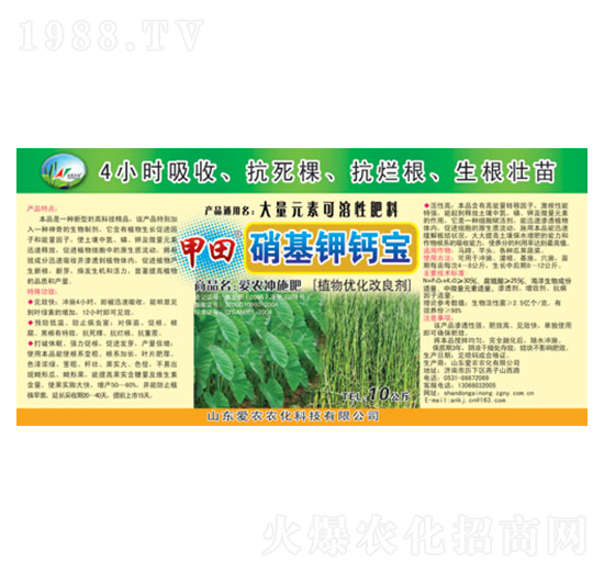 ������}��-����-�и�����