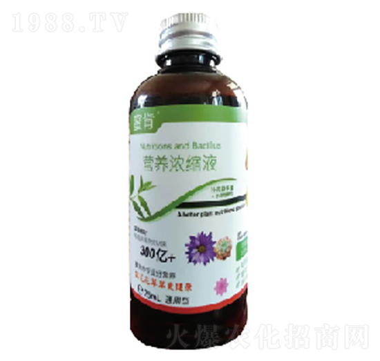 �I(y��ng)�B(y��ng)��sҺ-�и�����