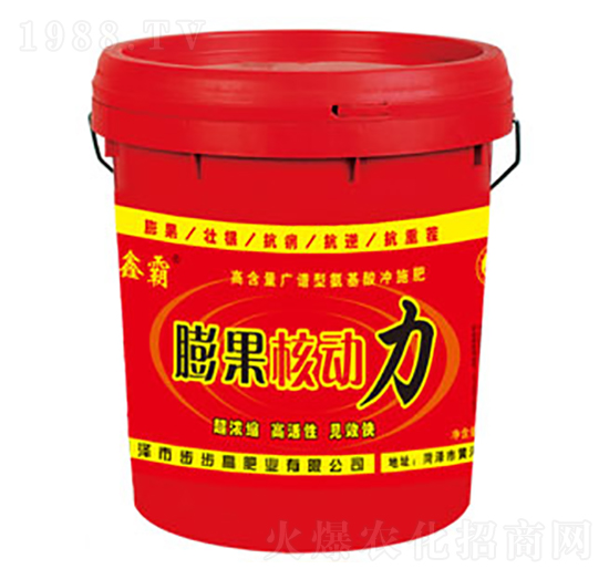 ����˄���-�ΰ�-�����߷ʘI(y��)