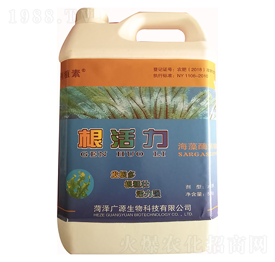 ������-�VԴ����