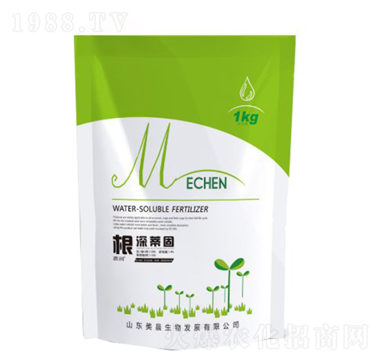 ����ٹ�-�\������