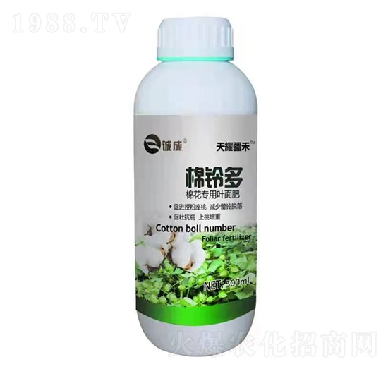 �޻���(zhu��n)���~���-��⏶�-��ҫ����-�\(ch��ng)������