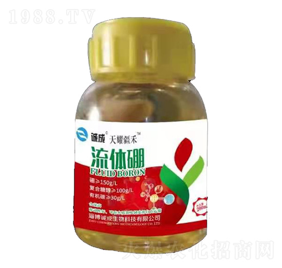 ���w��-��ҫ����-�\(ch��ng)������