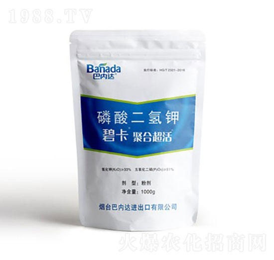 ��������-�̿�-�̓�(n��i)�_