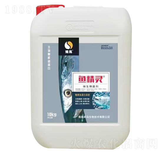 ����ø���~(y��)����-�~(y��)���`-�C�R����