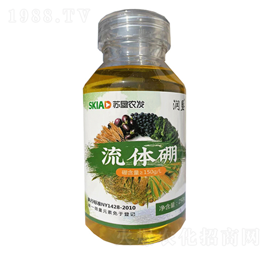 ���w��-����-���A����