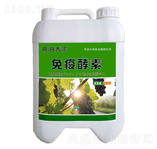 ���߽���-�p���r(n��ng)�I(y��)