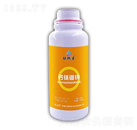 �}�V���\-�u�X������