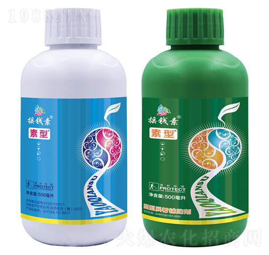 �޻����̈́�-�u�X������